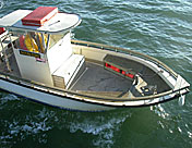 img06.jpg