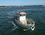 img08.jpg