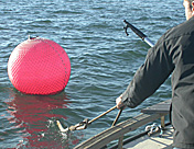 img10.jpg