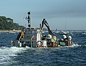 img11.jpg